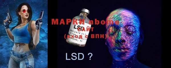 шишки Тобольск