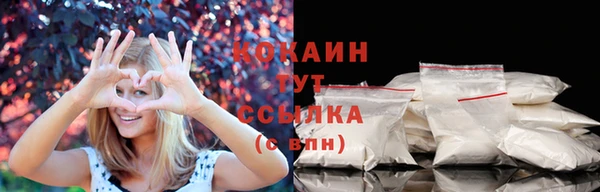 шишки Тобольск
