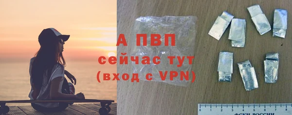 шишки Тобольск