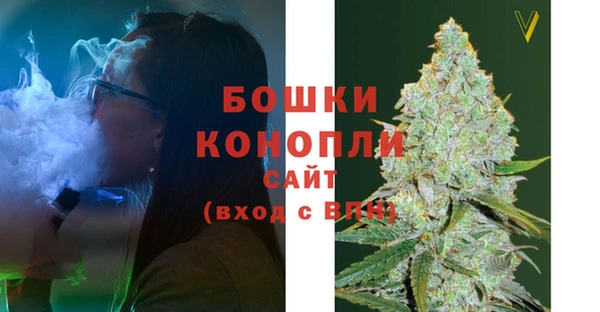 шишки Тобольск