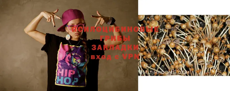 где можно купить наркотик  Алагир  Галлюциногенные грибы ЛСД 