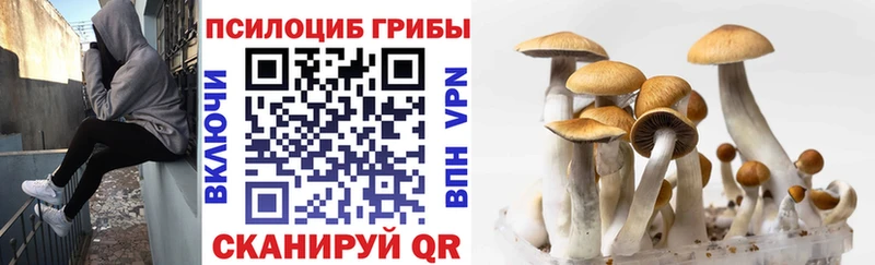 Галлюциногенные грибы прущие грибы  продажа наркотиков  Алагир 
